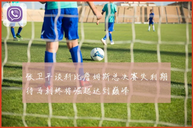 张卫平谈科比詹姆斯总决赛失利期待马刺终将崛起达到巅峰