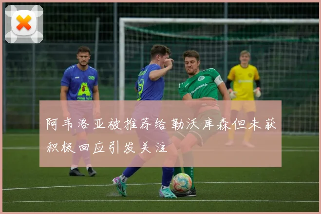 阿韦洛亚被推荐给勒沃库森但未获积极回应引发关注