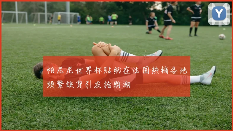 帕尼尼世界杯贴纸在法国热销各地频繁缺货引发抢购潮